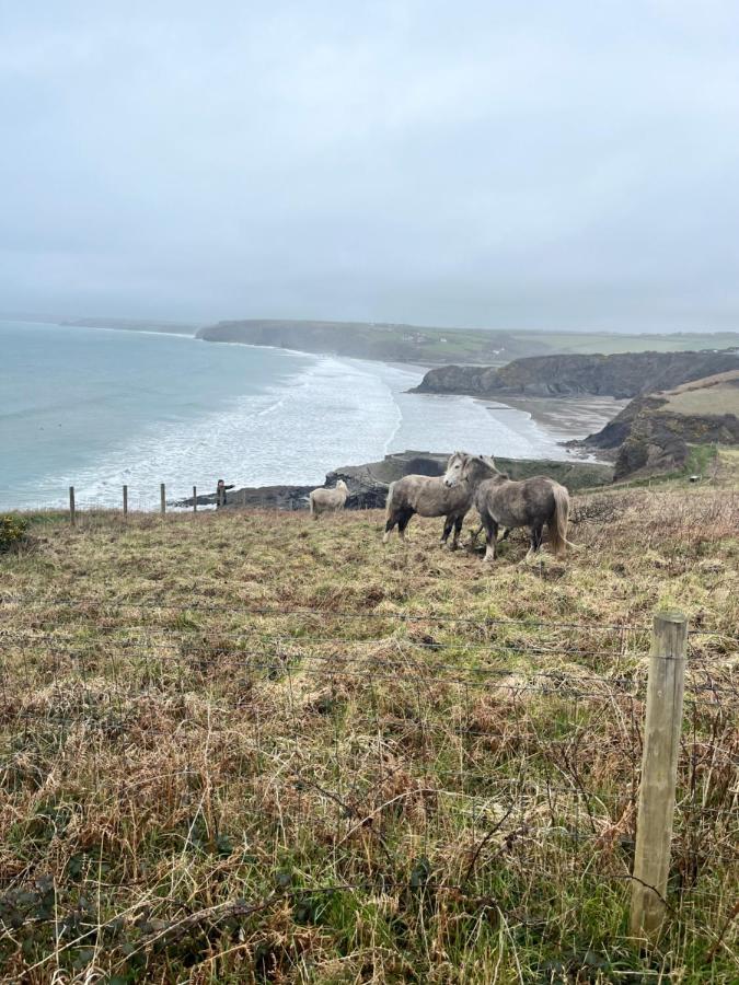 Beaufighter Apartman Haverfordwest Kültér fotó
